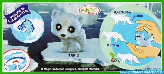 Вкладыш к игрушке TR 012 (2012)